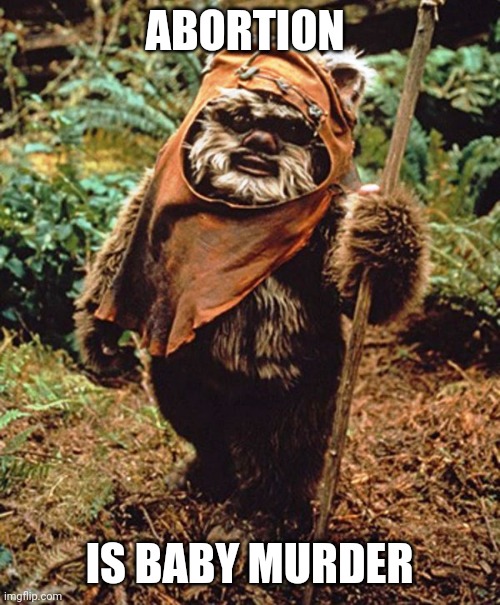 Dorm wars Ewok | ABORTION; IS BABY MURDER | image tagged in dorm wars ewok | made w/ Imgflip meme maker