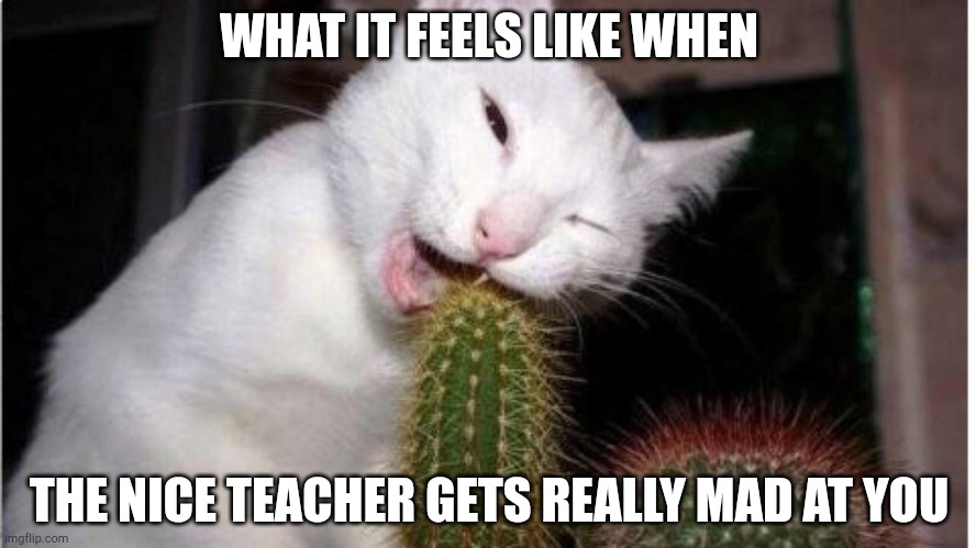 OUCH | WHAT IT FEELS LIKE WHEN; THE NICE TEACHER GETS REALLY MAD AT YOU | image tagged in ouch | made w/ Imgflip meme maker