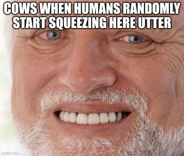 Uncomfortable | COWS WHEN HUMANS RANDOMLY START SQUEEZING HERE UTTER | image tagged in uncomfortable | made w/ Imgflip meme maker