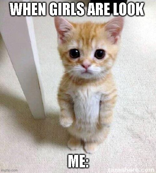 : ) |  WHEN GIRLS ARE LOOK; ME: | image tagged in memes,cute cat | made w/ Imgflip meme maker