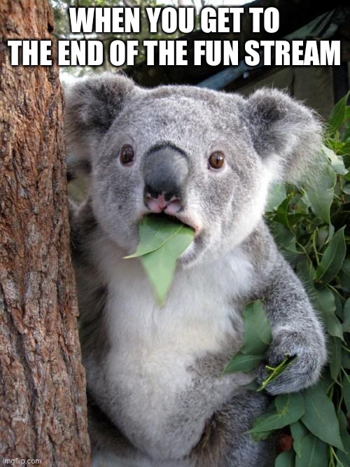 My brain is weird | WHEN YOU GET TO THE END OF THE FUN STREAM | image tagged in memes,surprised koala | made w/ Imgflip meme maker