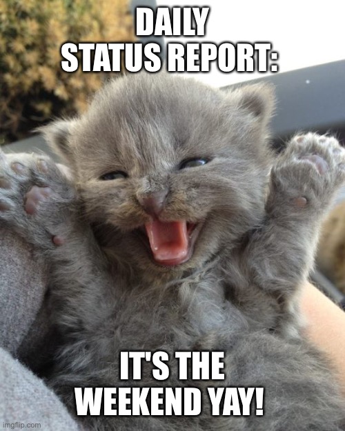 Yay Kitty | DAILY STATUS REPORT:; IT'S THE WEEKEND YAY! | image tagged in yay kitty,daily,status,report,yay | made w/ Imgflip meme maker