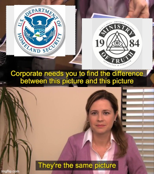 DHS has a Disinformation Board now? | image tagged in they're the same picture | made w/ Imgflip meme maker