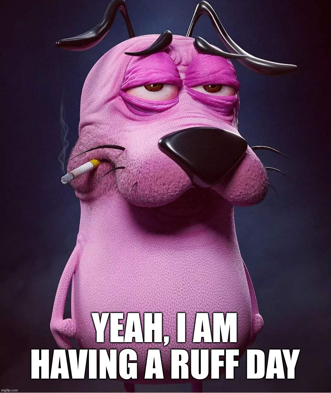 YEAH, I AM HAVING A RUFF DAY | image tagged in dogs | made w/ Imgflip meme maker
