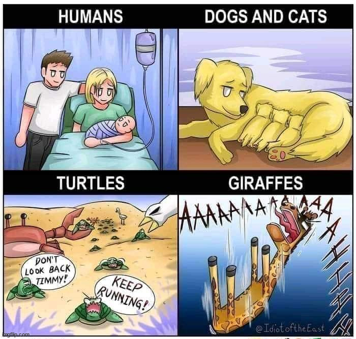 image tagged in comics/cartoons | made w/ Imgflip meme maker