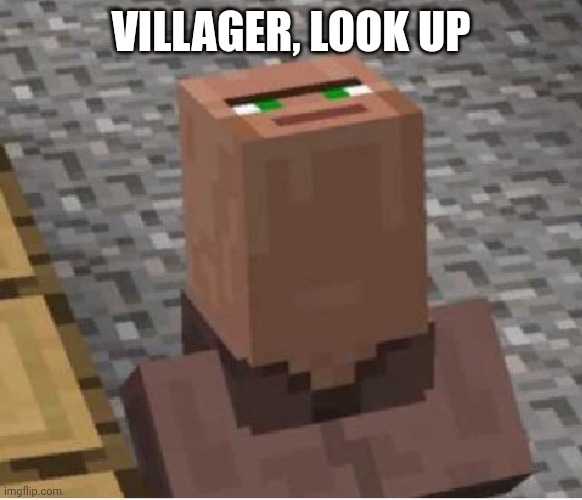 Minecraft villager look up | VILLAGER, LOOK UP | image tagged in minecraft villager looking up | made w/ Imgflip meme maker
