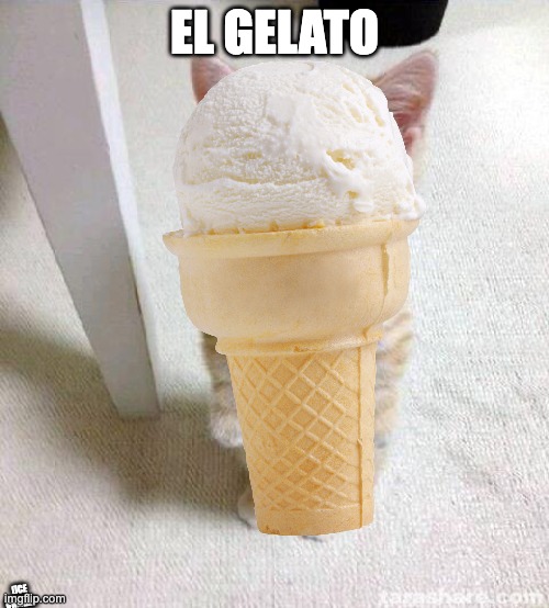 el gato | EL GELATO; (ICE CREAM) | image tagged in el gato,cute cat,gelato,ice cream | made w/ Imgflip meme maker