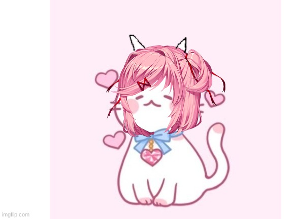 natsuki smol cat | image tagged in ddlc,natsuki,cats,smol,very cute,funny | made w/ Imgflip meme maker