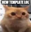 spoingus | NEW TEMPLATE LOL | image tagged in spoingus | made w/ Imgflip meme maker