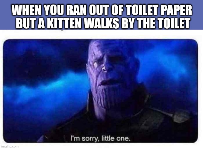 Thanos Little One | WHEN YOU RAN OUT OF TOILET PAPER 
BUT A KITTEN WALKS BY THE TOILET | image tagged in thanos little one | made w/ Imgflip meme maker