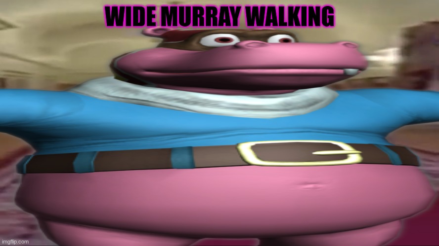 It's far better then the original meme and also I plan on making a video over the meme but with Murray | WIDE MURRAY WALKING | image tagged in sly cooper | made w/ Imgflip meme maker