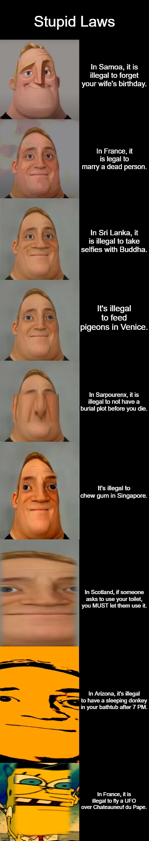 Mr Incredible becoming Idiot template | Stupid Laws; In Samoa, it is illegal to forget your wife's birthday. In France, it is legal to marry a dead person. In Sri Lanka, it is illegal to take selfies with Buddha. It's illegal to feed pigeons in Venice. In Sarpourenx, it is illegal to not have a burial plot before you die. It's illegal to chew gum in Singapore. In Scotland, if someone asks to use your toilet, you MUST let them use it. In Arizona, it's illegal to have a sleeping donkey in your bathtub after 7 PM. In France, it is illegal to fly a UFO over Chateauneuf du Pape. | image tagged in mr incredible becoming idiot template | made w/ Imgflip meme maker
