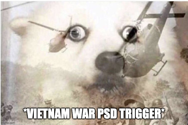 vietnam dog | *VIETNAM WAR PSD TRIGGER* | image tagged in vietnam dog | made w/ Imgflip meme maker