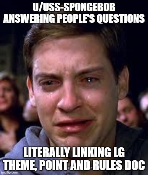 crying spiderman | U/USS-SPONGEBOB ANSWERING PEOPLE'S QUESTIONS; LITERALLY LINKING LG THEME, POINT AND RULES DOC | image tagged in crying spiderman | made w/ Imgflip meme maker