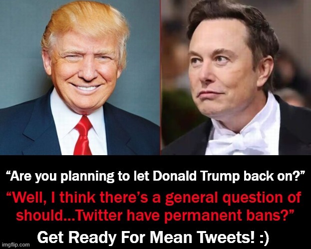 I am sure ready for some mean tweets... | image tagged in politics,donald trump,elon musk,twitter,mean tweets,free speech | made w/ Imgflip meme maker