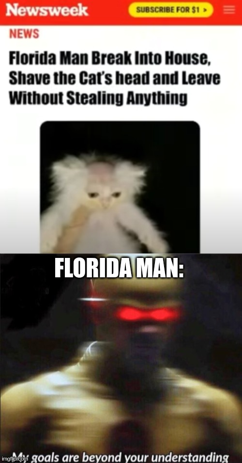 Just a common thing here in florida |  FLORIDA MAN: | image tagged in my goals are beyond your understanding,yes,florida man | made w/ Imgflip meme maker