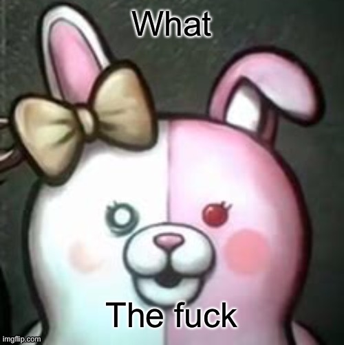 What the fuck Monomi | image tagged in what the fuck monomi | made w/ Imgflip meme maker