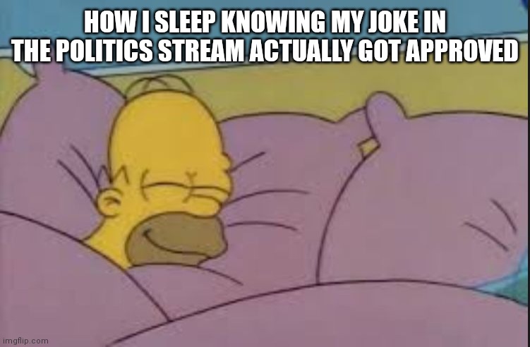 how i sleep homer simpson | HOW I SLEEP KNOWING MY JOKE IN THE POLITICS STREAM ACTUALLY GOT APPROVED | image tagged in how i sleep homer simpson | made w/ Imgflip meme maker