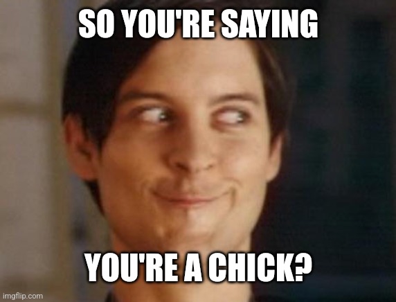 Spiderman Peter Parker Meme | SO YOU'RE SAYING YOU'RE A CHICK? | image tagged in memes,spiderman peter parker | made w/ Imgflip meme maker