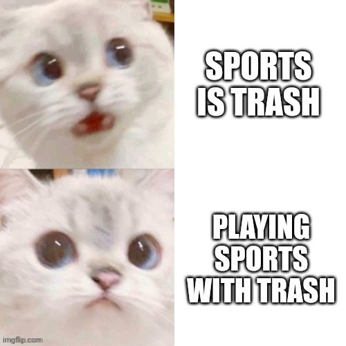 cats stream | SPORTS IS TRASH; PLAYING SPORTS WITH TRASH | image tagged in cats | made w/ Imgflip meme maker