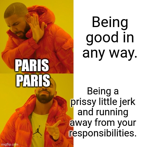 Drake Hotline Bling Meme | Being good in any way. Being a prissy little jerk and running away from your responsibilities. PARIS 





PARIS | image tagged in memes,drake hotline bling | made w/ Imgflip meme maker