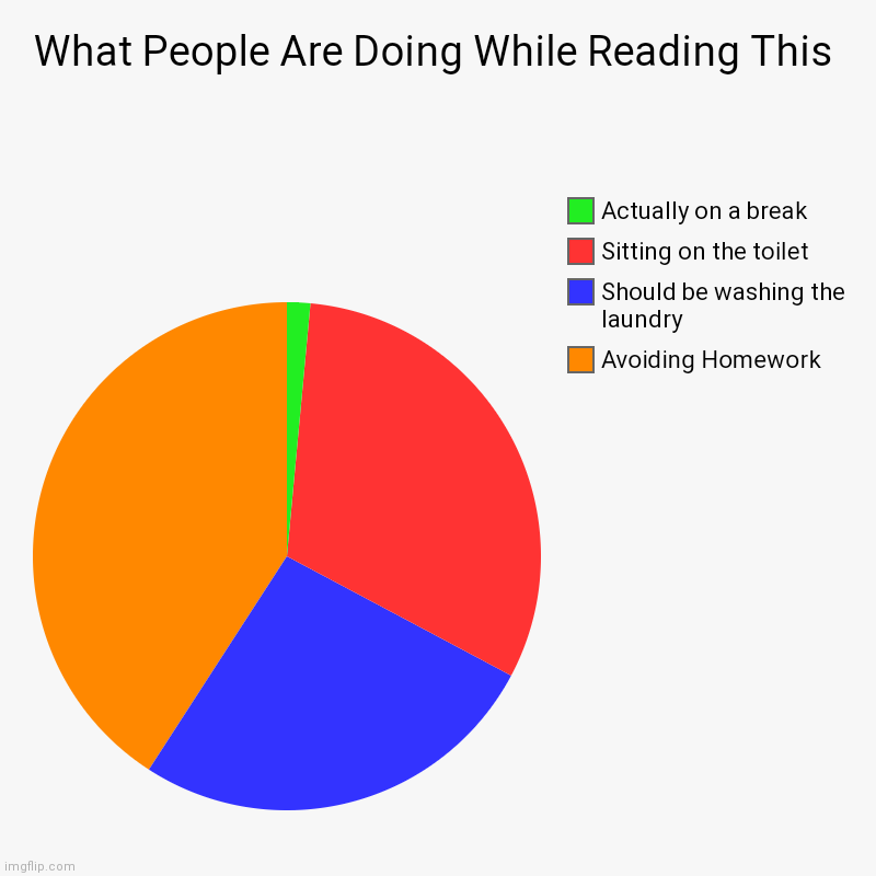 What People Do While Reading Memes | What People Are Doing While Reading This | Avoiding Homework, Should be washing the laundry, Sitting on the toilet, Actually on a break | image tagged in charts,pie charts | made w/ Imgflip chart maker
