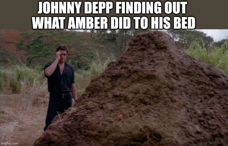 JOHNNY DEPP FINDING OUT 
WHAT AMBER DID TO HIS BED | image tagged in funny memes | made w/ Imgflip meme maker