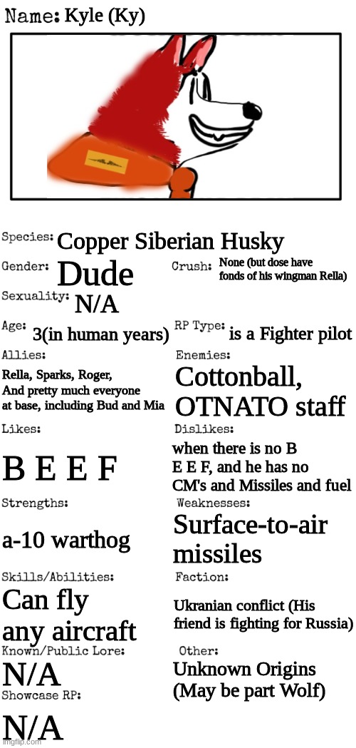 More info on OC | Kyle (Ky); Copper Siberian Husky; None (but dose have fonds of his wingman Rella); Dude; N/A; 3(in human years); is a Fighter pilot; Rella, Sparks, Roger, And pretty much everyone at base, including Bud and Mia; Cottonball, OTNATO staff; when there is no B E E F, and he has no CM's and Missiles and fuel; B E E F; Surface-to-air missiles; a-10 warthog; Can fly any aircraft; Ukranian conflict (His friend is fighting for Russia); N/A; Unknown Origins (May be part Wolf); N/A | image tagged in new oc showcase for rp stream | made w/ Imgflip meme maker