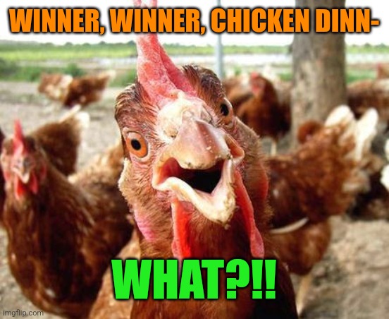 Chicken | WINNER, WINNER, CHICKEN DINN- WHAT?!! | image tagged in chicken | made w/ Imgflip meme maker