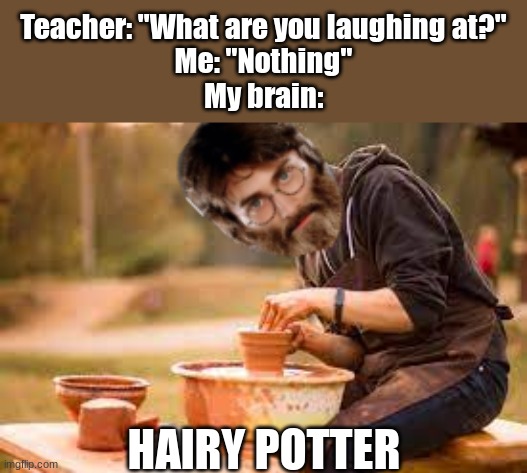 I see what ye did there. | Teacher: "What are you laughing at?"
Me: "Nothing"
My brain:; HAIRY POTTER | image tagged in harry potter,hairy,potter | made w/ Imgflip meme maker