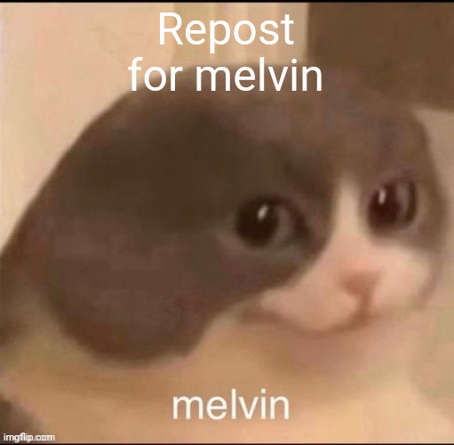 R.e.p.o.s.t Melvin | Repost for melvin | image tagged in melvin | made w/ Imgflip meme maker