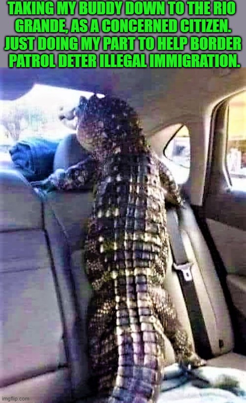 taking gator for a ride | TAKING MY BUDDY DOWN TO THE RIO 
GRANDE, AS A CONCERNED CITIZEN.
JUST DOING MY PART TO HELP BORDER
 PATROL DETER ILLEGAL IMMIGRATION. | image tagged in political humor,illegal immigration,secure the border,open borders,homeland security,gator | made w/ Imgflip meme maker