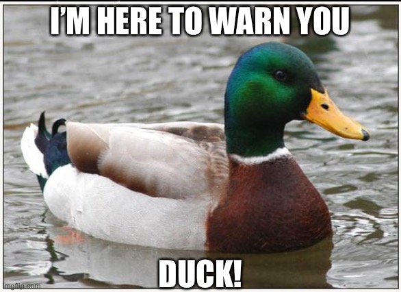 Duck! | I’M HERE TO WARN YOU; DUCK! | image tagged in memes,actual advice mallard | made w/ Imgflip meme maker