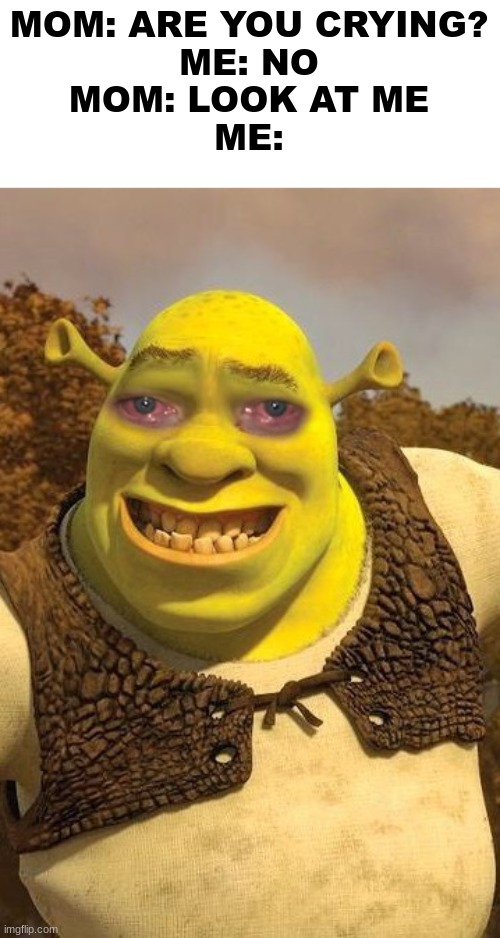 Smiling Shrek | MOM: ARE YOU CRYING?
ME: NO
MOM: LOOK AT ME
ME: | image tagged in smiling shrek | made w/ Imgflip meme maker
