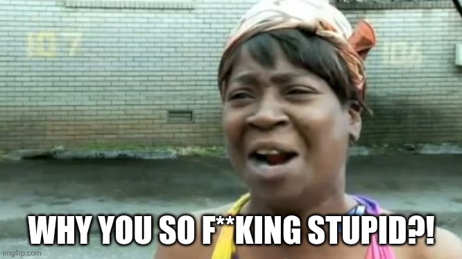 Ain't Nobody Got Time For That Meme | WHY YOU SO F**KING STUPID?! | image tagged in memes,ain't nobody got time for that | made w/ Imgflip meme maker