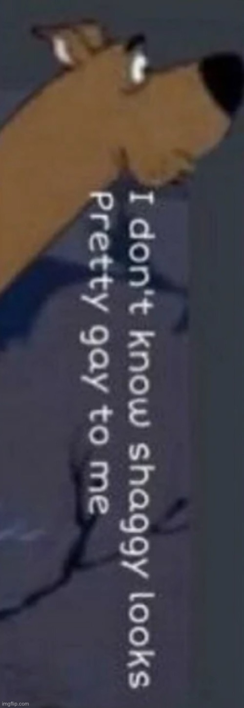 I dunno shaggy | image tagged in i dunno shaggy | made w/ Imgflip meme maker