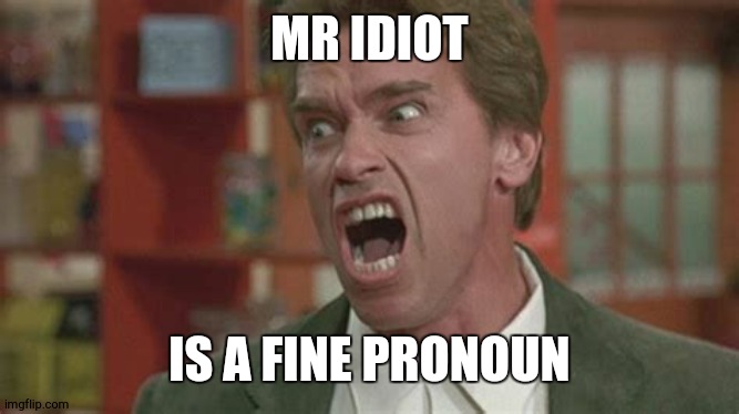 Angry | MR IDIOT; IS A FINE PRONOUN | image tagged in angry | made w/ Imgflip meme maker