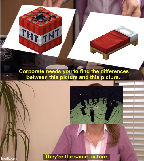 Minecraft they're the same picture | image tagged in memes,they're the same picture | made w/ Imgflip meme maker