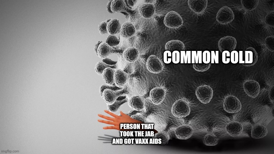 Portrait of an anti-vaxxer. Virus, hand. | COMMON COLD; PERSON THAT TOOK THE JAB AND GOT VAXX AIDS | image tagged in portrait of an anti-vaxxer virus hand | made w/ Imgflip meme maker