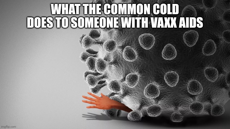 Portrait of an anti-vaxxer. Virus, hand. | WHAT THE COMMON COLD DOES TO SOMEONE WITH VAXX AIDS | image tagged in portrait of an anti-vaxxer virus hand | made w/ Imgflip meme maker