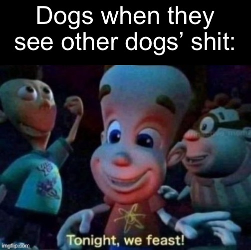 Why would they even though? | Dogs when they see other dogs’ shit: | image tagged in tonight we feast | made w/ Imgflip meme maker