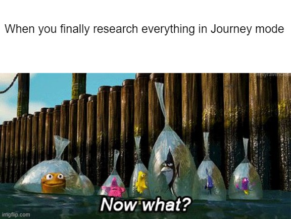 Journey mode's end | When you finally research everything in Journey mode | image tagged in now what,terraria,journey mode,research,completion | made w/ Imgflip meme maker