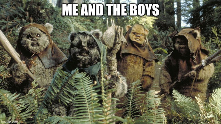 ewok | ME AND THE BOYS | image tagged in ewok | made w/ Imgflip meme maker