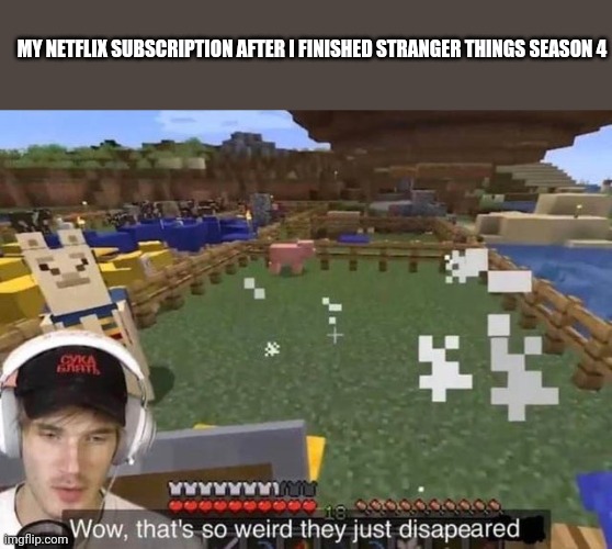 Wow that's so weird they just disappeared | MY NETFLIX SUBSCRIPTION AFTER I FINISHED STRANGER THINGS SEASON 4 | image tagged in wow that's so weird they just disappeared | made w/ Imgflip meme maker