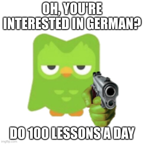 duo | OH, YOU'RE INTERESTED IN GERMAN? DO 100 LESSONS A DAY | image tagged in duolingo | made w/ Imgflip meme maker