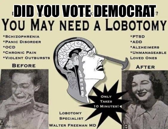 Democrats vote for change | DID YOU VOTE DEMOCRAT | image tagged in vote democrat | made w/ Imgflip meme maker