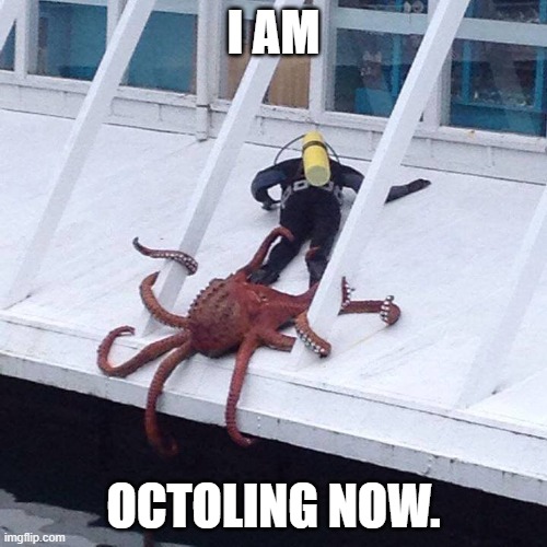 Y a y . | I AM; OCTOLING NOW. | image tagged in octopus | made w/ Imgflip meme maker