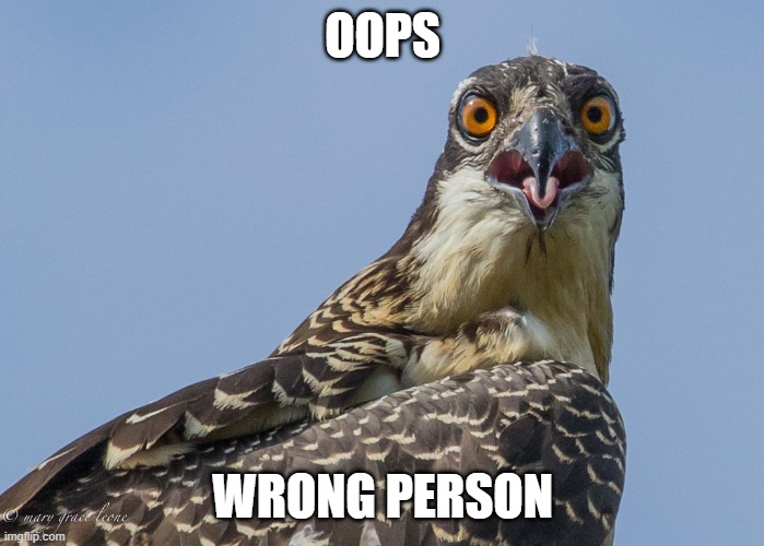 Text wrong person | OOPS WRONG PERSON | image tagged in text wrong person | made w/ Imgflip meme maker