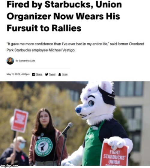 furries for workers rights! | image tagged in furry,union,starbucks,workers | made w/ Imgflip meme maker