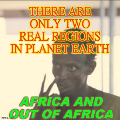 Africa and 'Out Of Africa' |  THERE ARE ONLY TWO
REAL REGIONS
IN PLANET EARTH; AFRICA AND OUT OF AFRICA | image tagged in memes,look at me | made w/ Imgflip meme maker